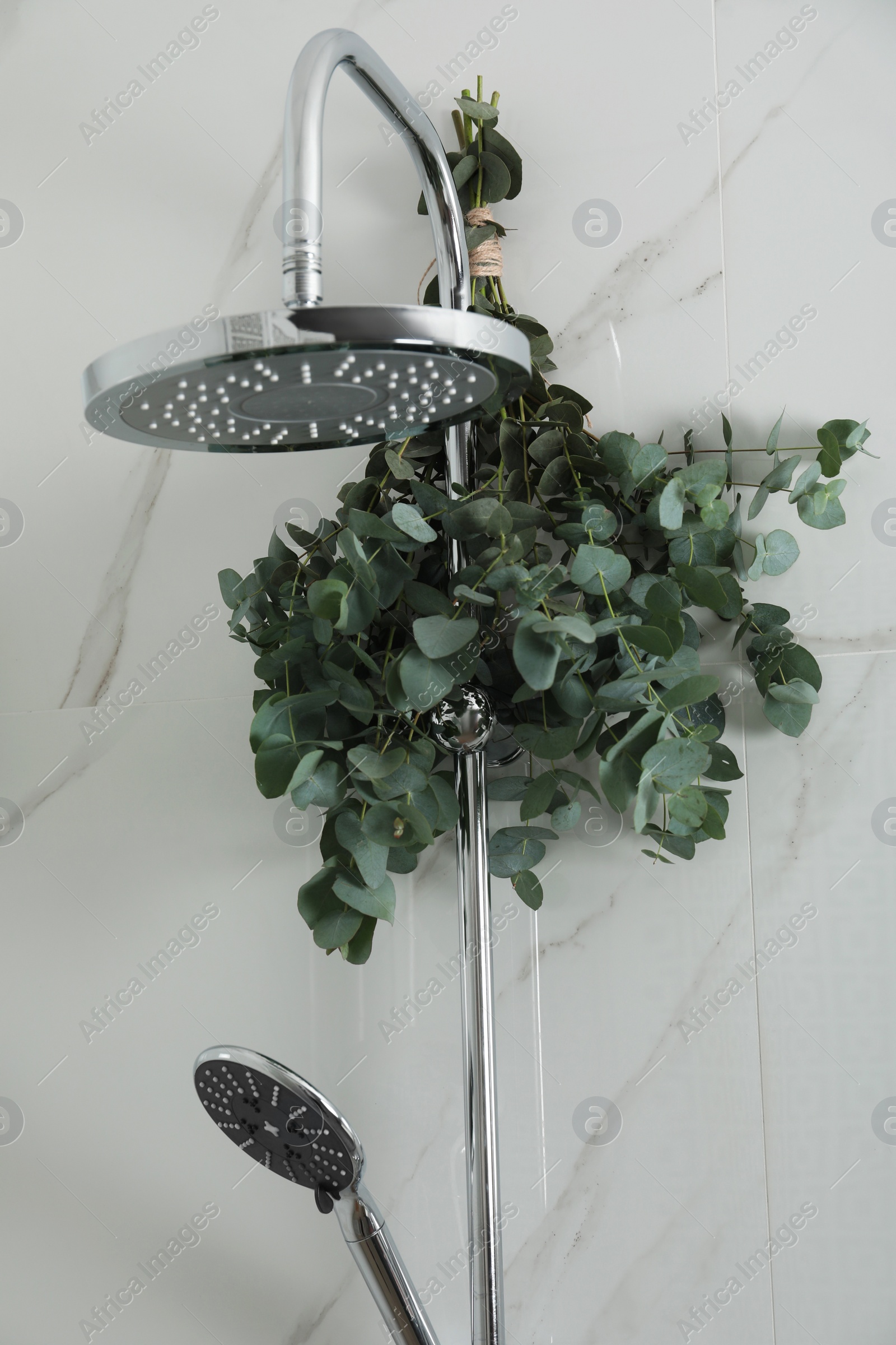 Photo of Branches with green eucalyptus leaves in shower