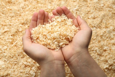 Photo of Woman holding dry natural sawdust, closeup view