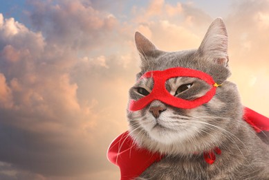 Image of Adorable cat in red superhero cape and mask against cloudy sky, space for text