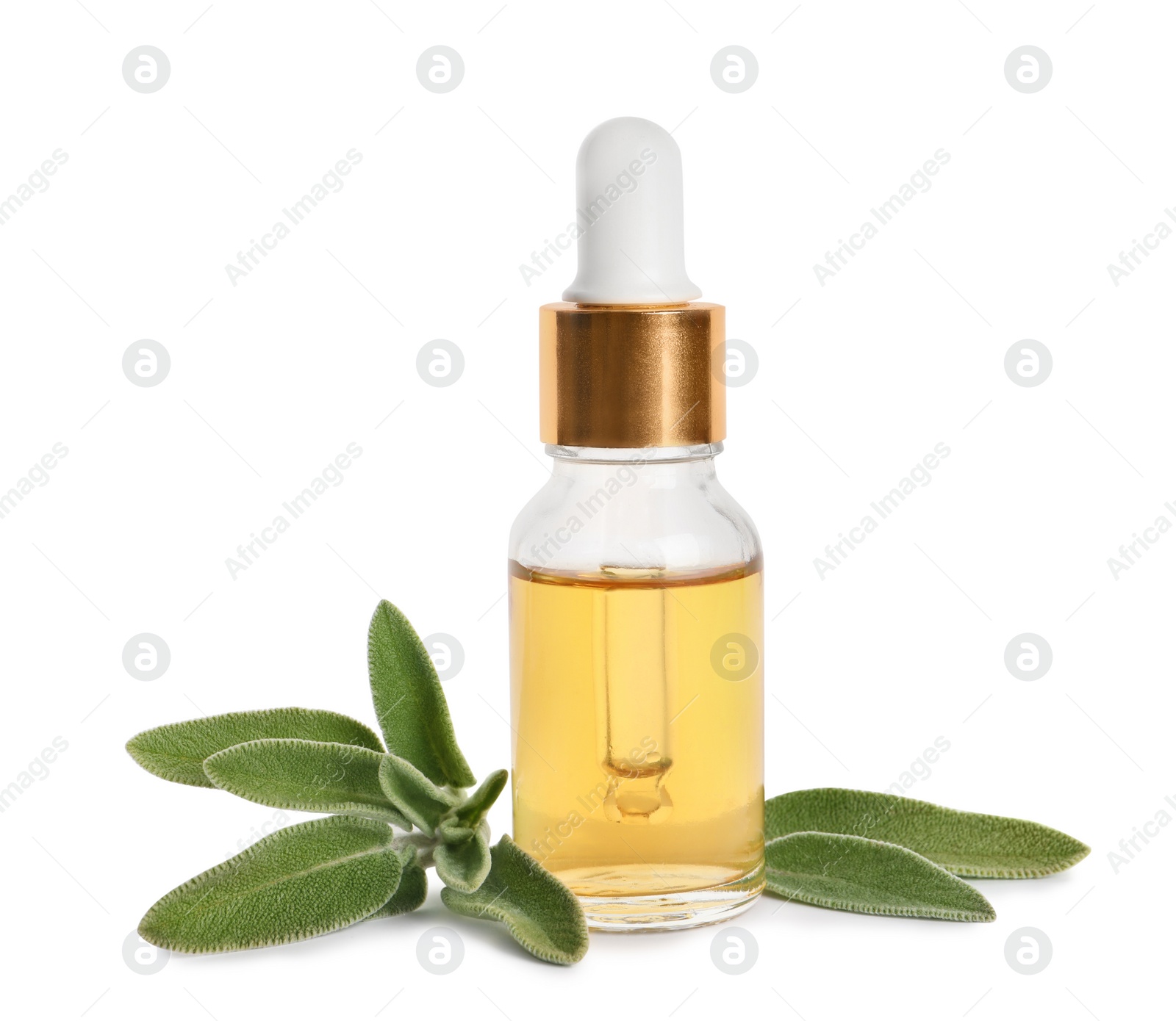 Photo of Bottle of essential sage oil and leaves on white background.