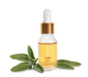 Photo of Bottle of essential sage oil and leaves on white background.