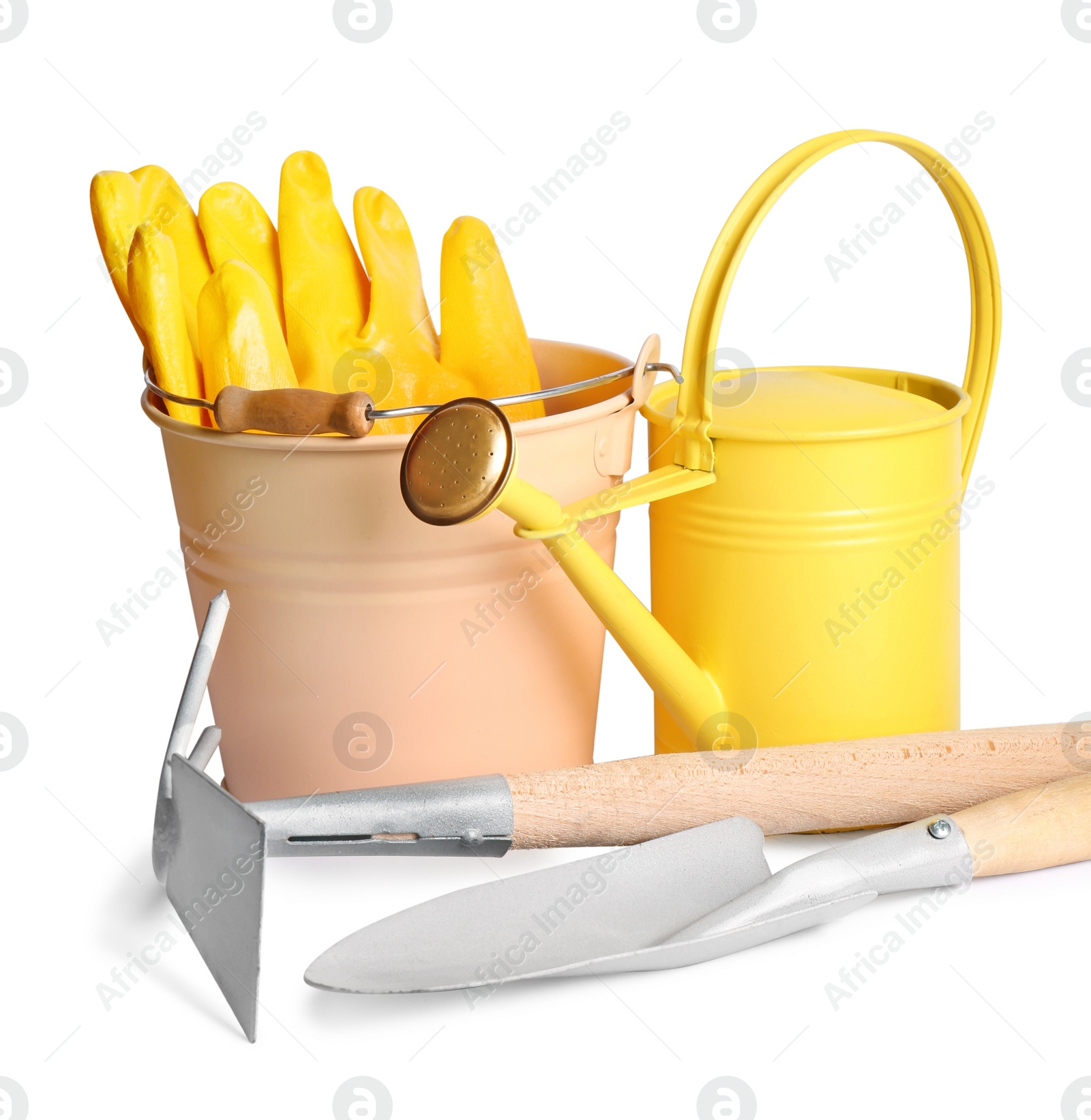 Photo of Watering can and gardening tools on white background