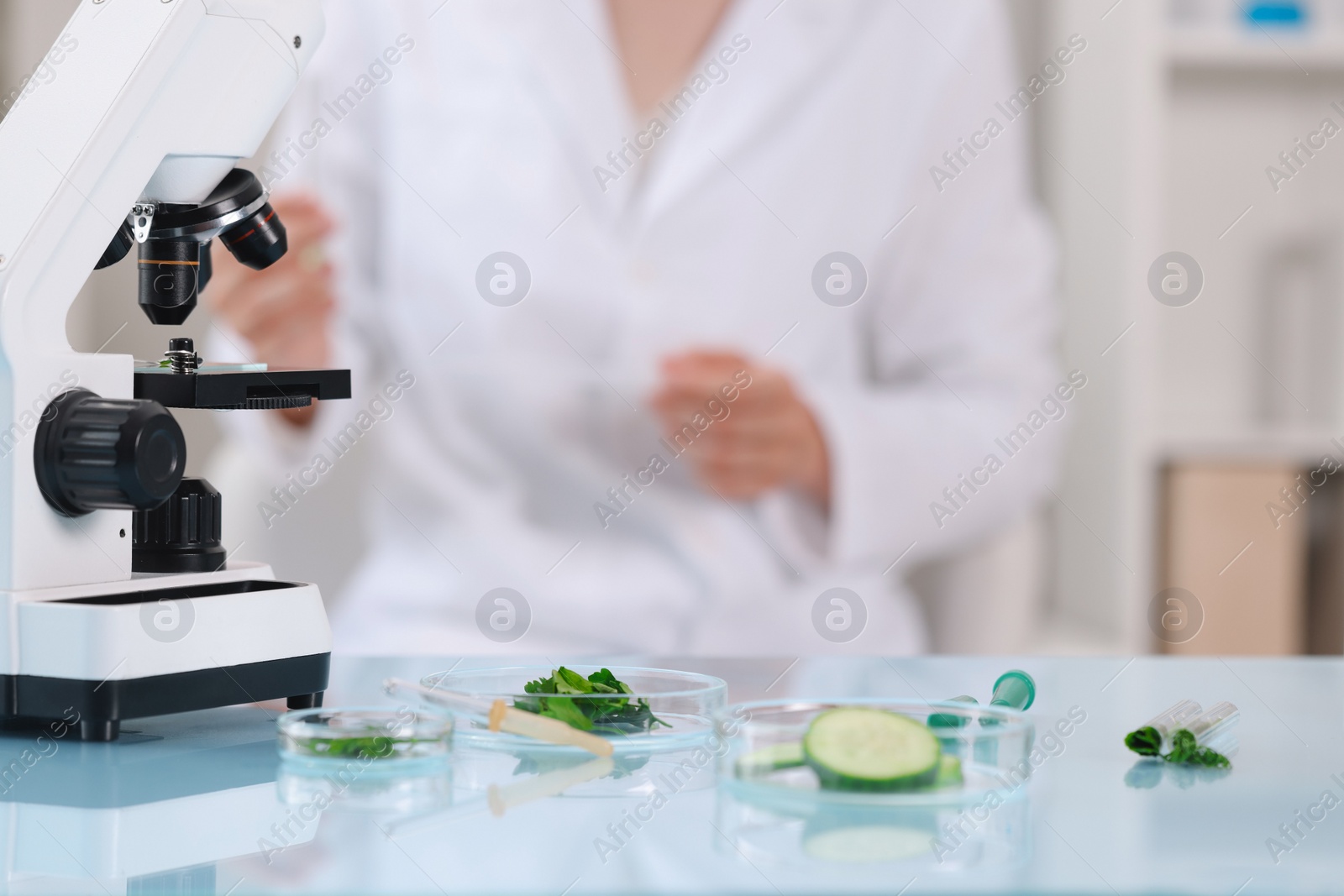 Photo of Quality control. Food inspector working in laboratory, focus on microscope and petri dishes with different products