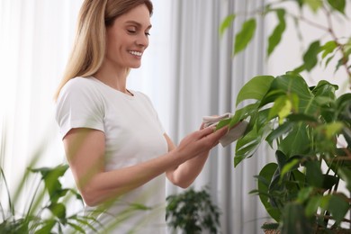 Woman wiping leaves of beautiful houseplants with cloth at home