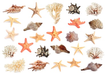 Set with sea stars, shells and corals isolated on white