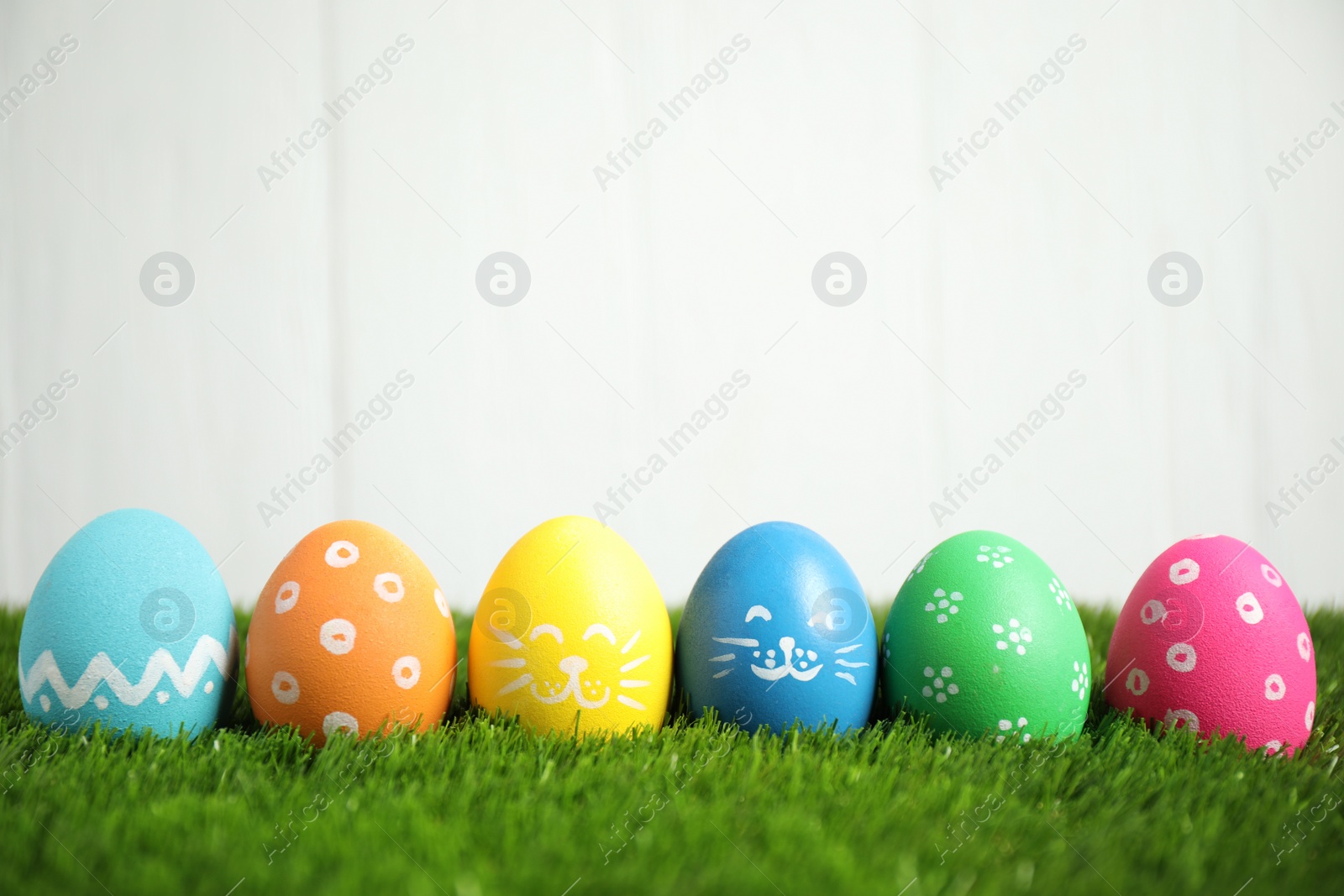 Photo of Colorful Easter eggs on green grass against white background. Space for text