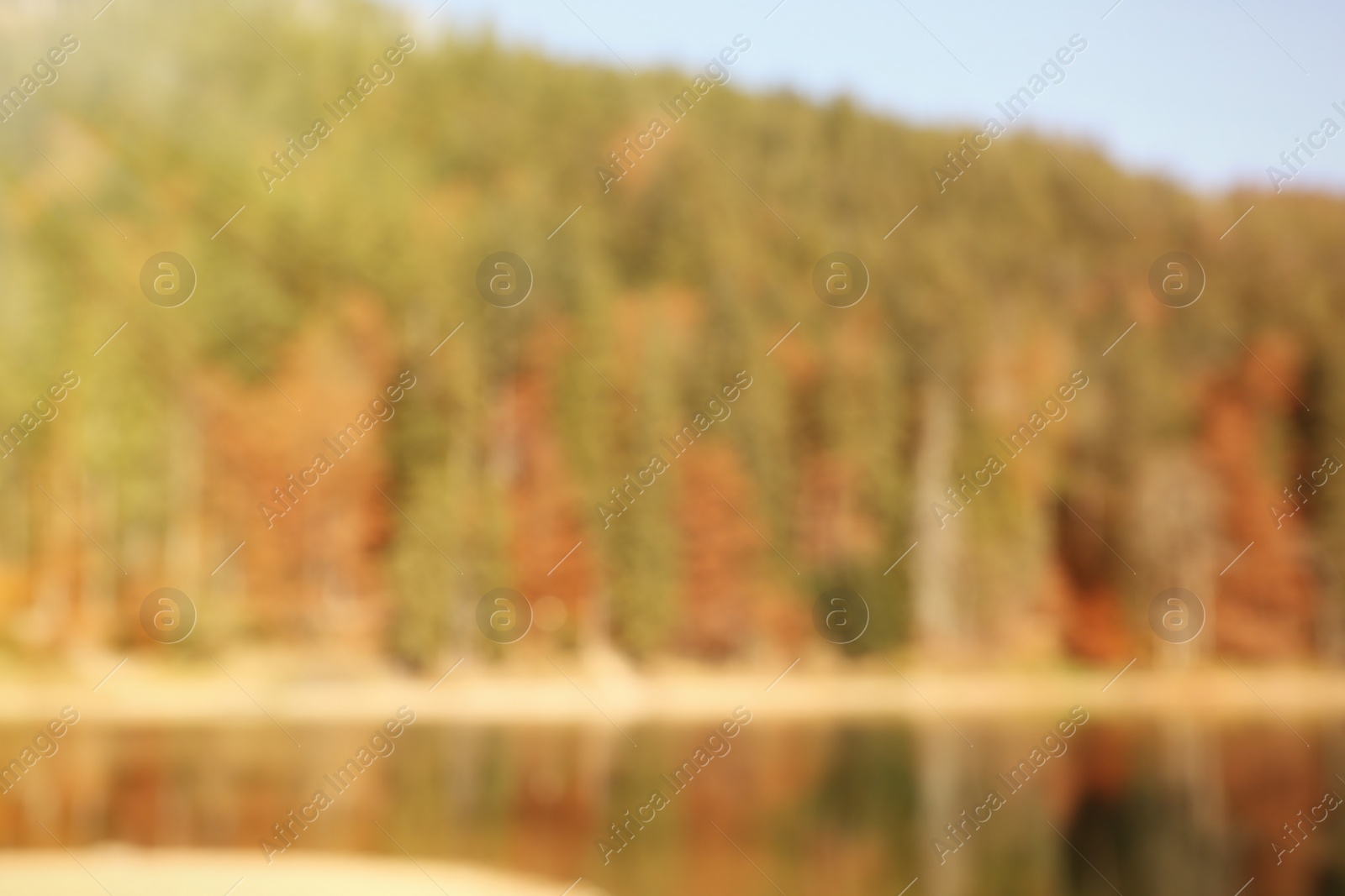 Photo of Beautiful mountain landscape with forest near water, blurred view