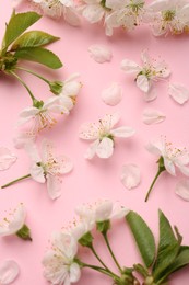 Beautiful spring tree blossoms and petals on pink background