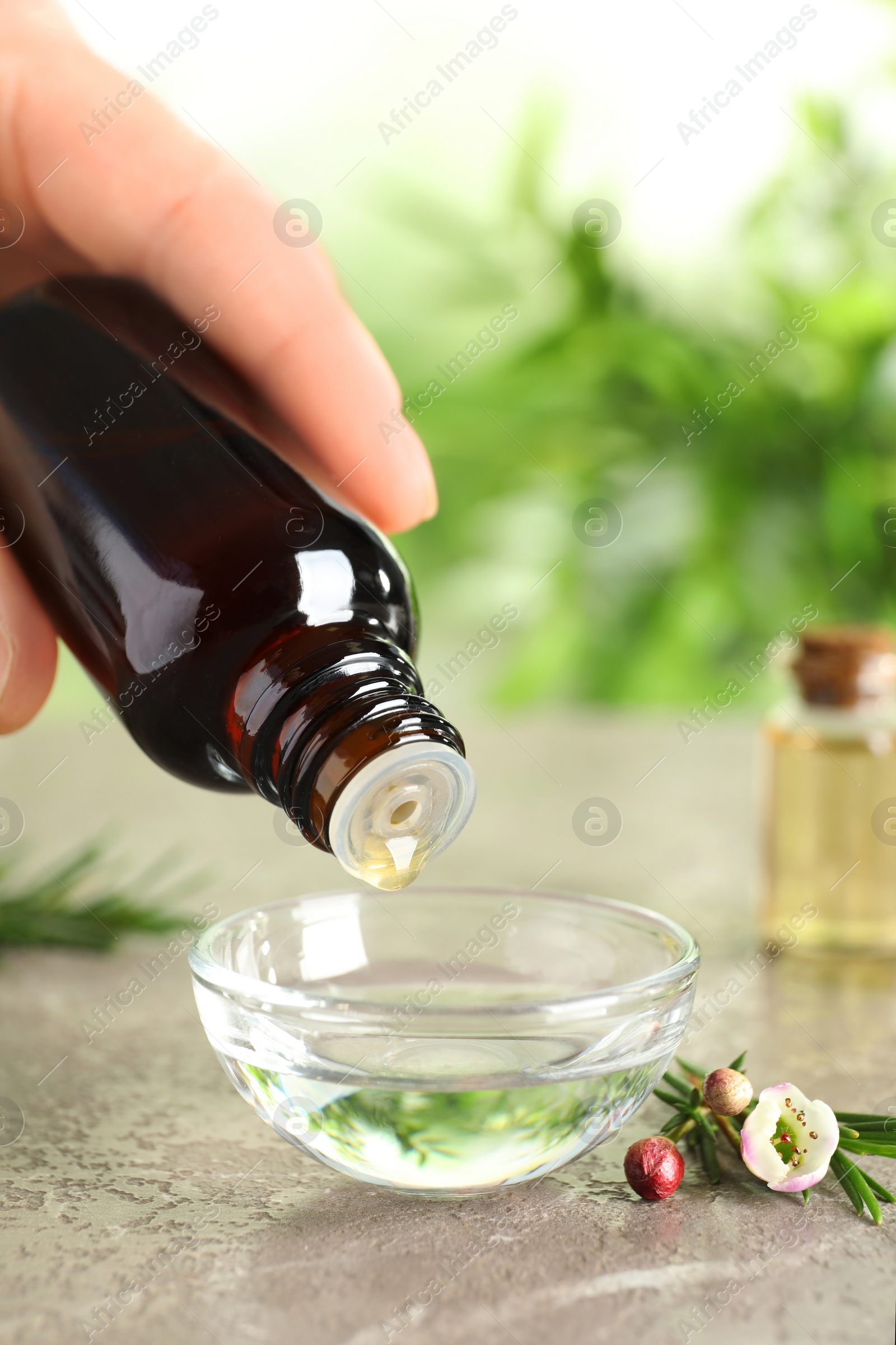 Photo of Woman dripping natural tea tree oil in bowl against blurred background, closeup