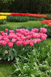 Photo of Park with variety of beautiful flowers. Spring season