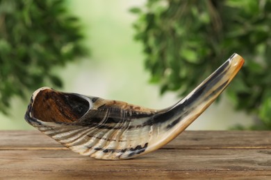 Photo of Shofar on wooden table outdoors. Rosh Hashanah holiday attribute