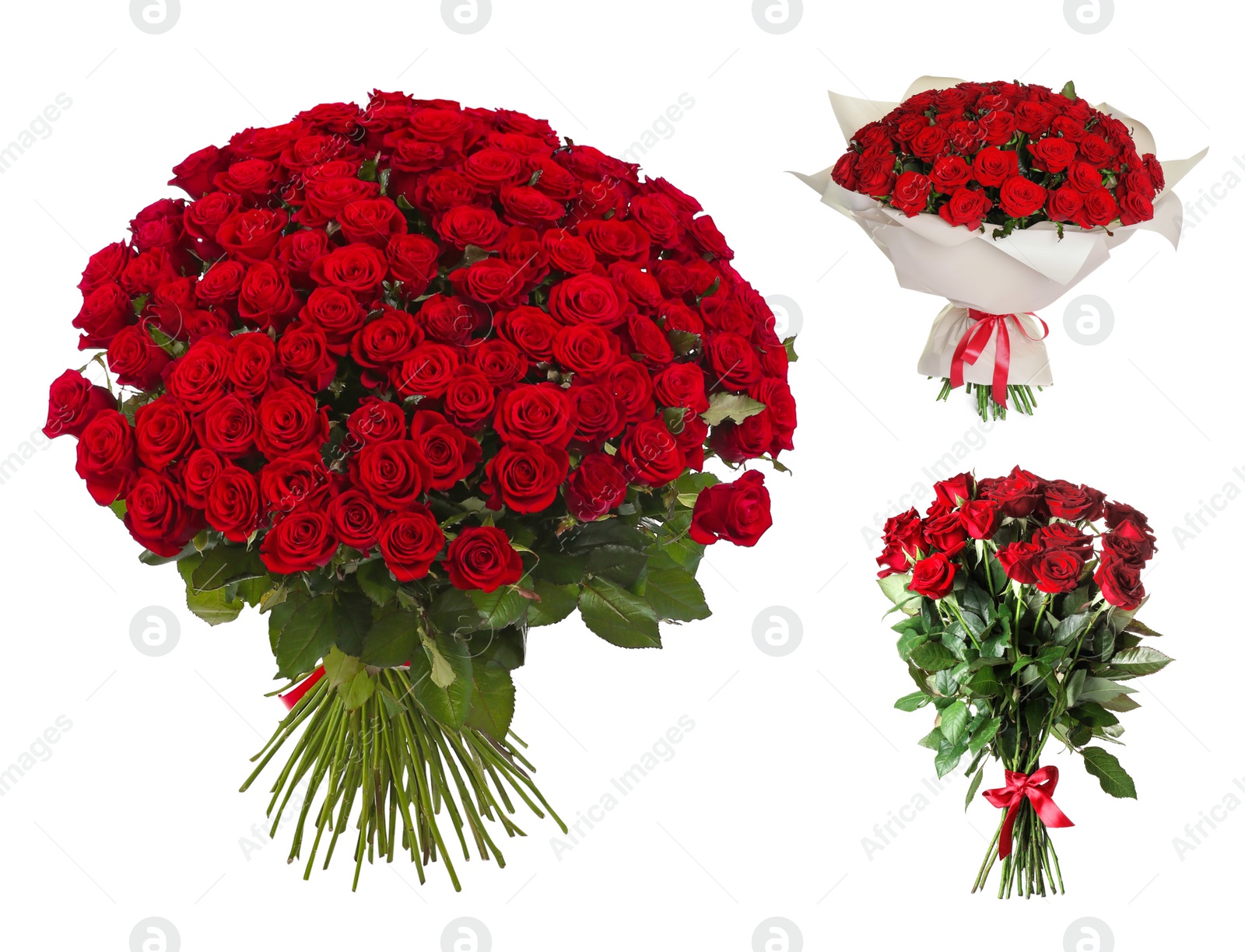 Image of Set with beautiful bouquets of red roses on white background