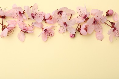 Photo of Beautiful spring tree blossoms and petals on yellow background, flat lay. Space for text