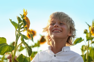 Cute little boy with sunflowers outdoors. Child spending time in nature