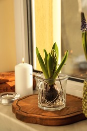 Beautiful bulbous plant and burning candle on windowsill indoors. Spring time