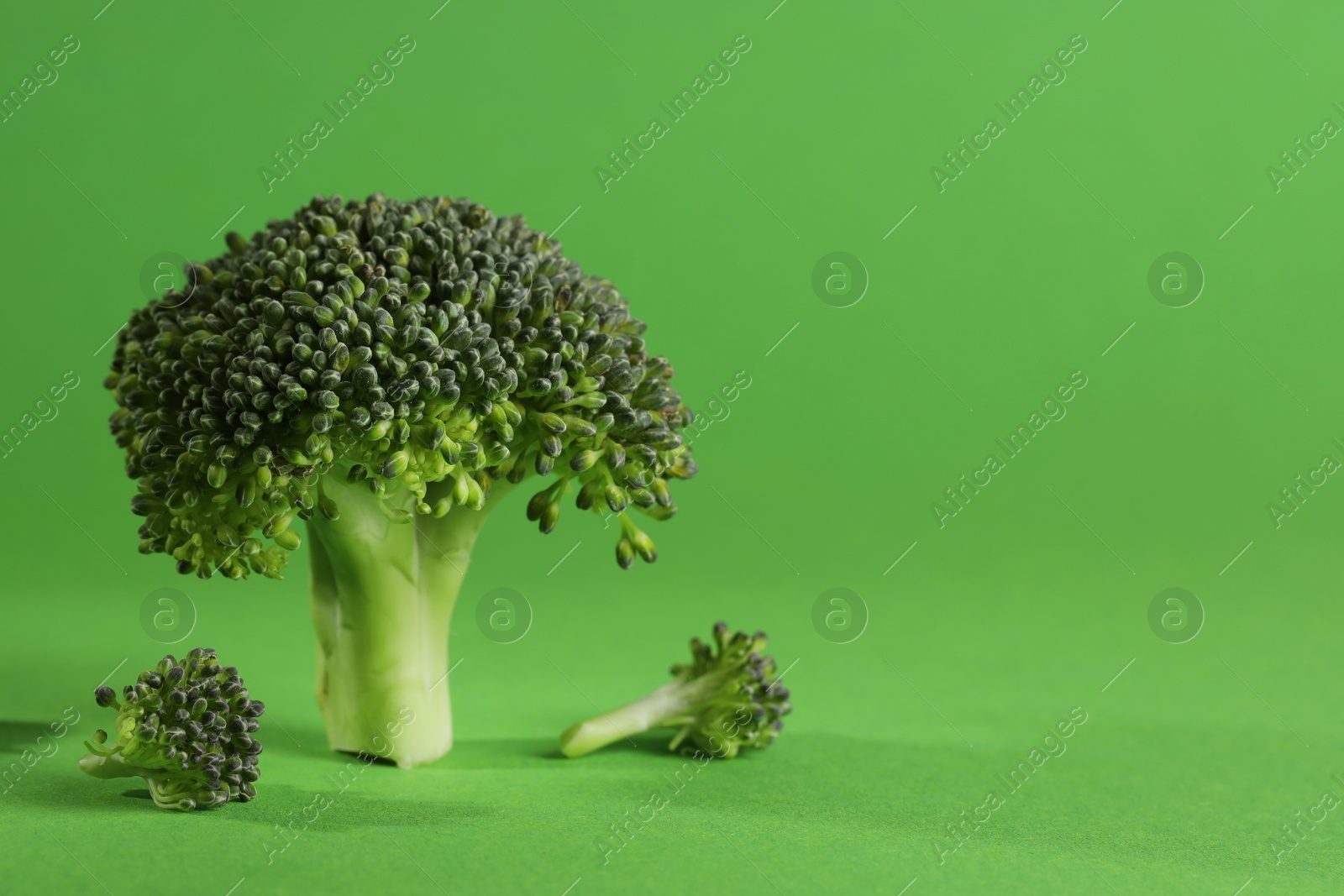 Photo of Fresh raw broccoli on light green background. Space for text