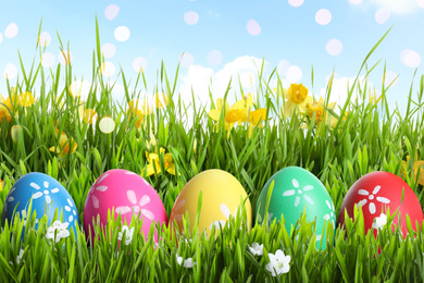 Image of Colorful Easter eggs and daffodil flowers in green grass against blue sky