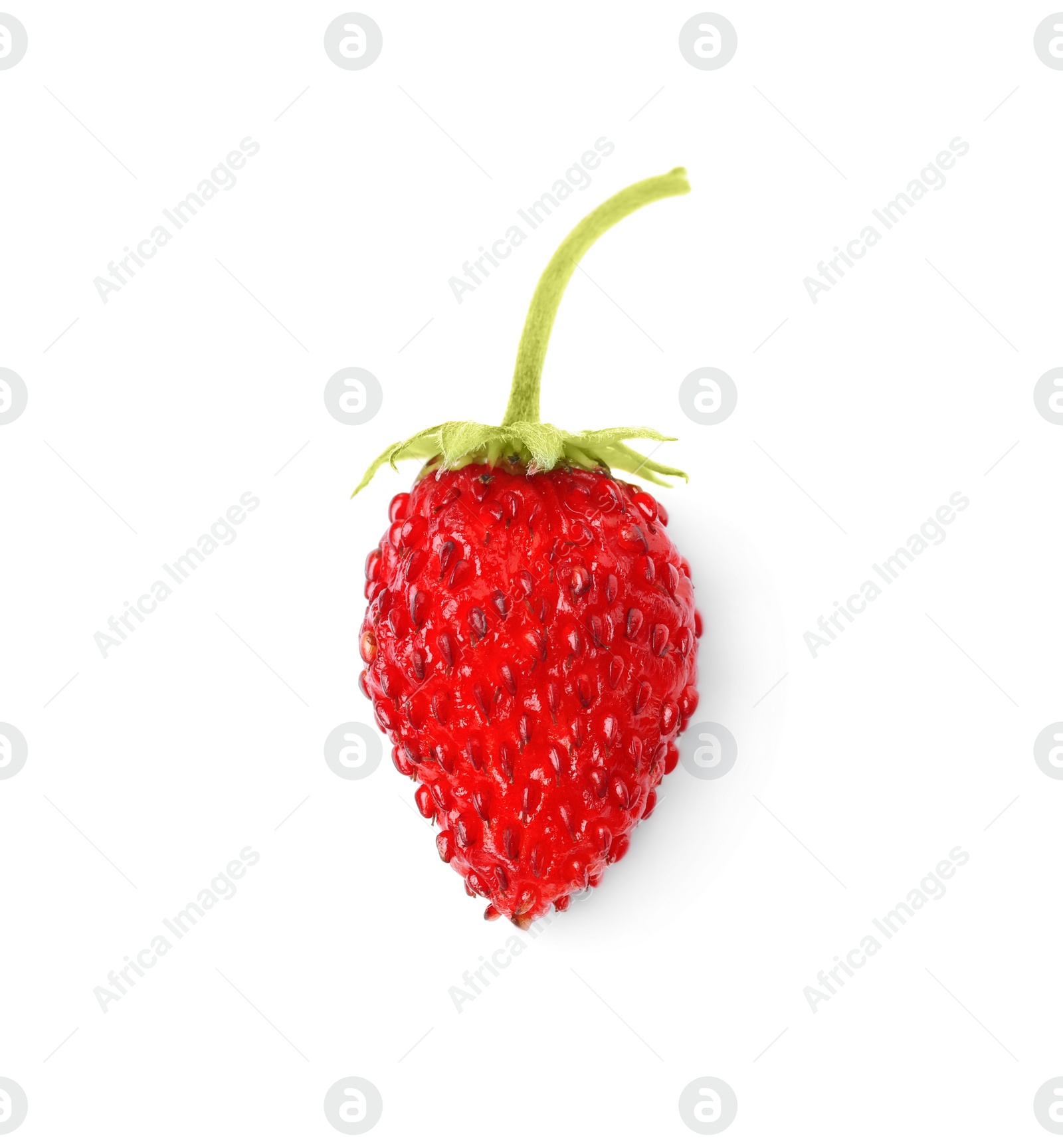 Photo of One ripe wild strawberry isolated on white, top view