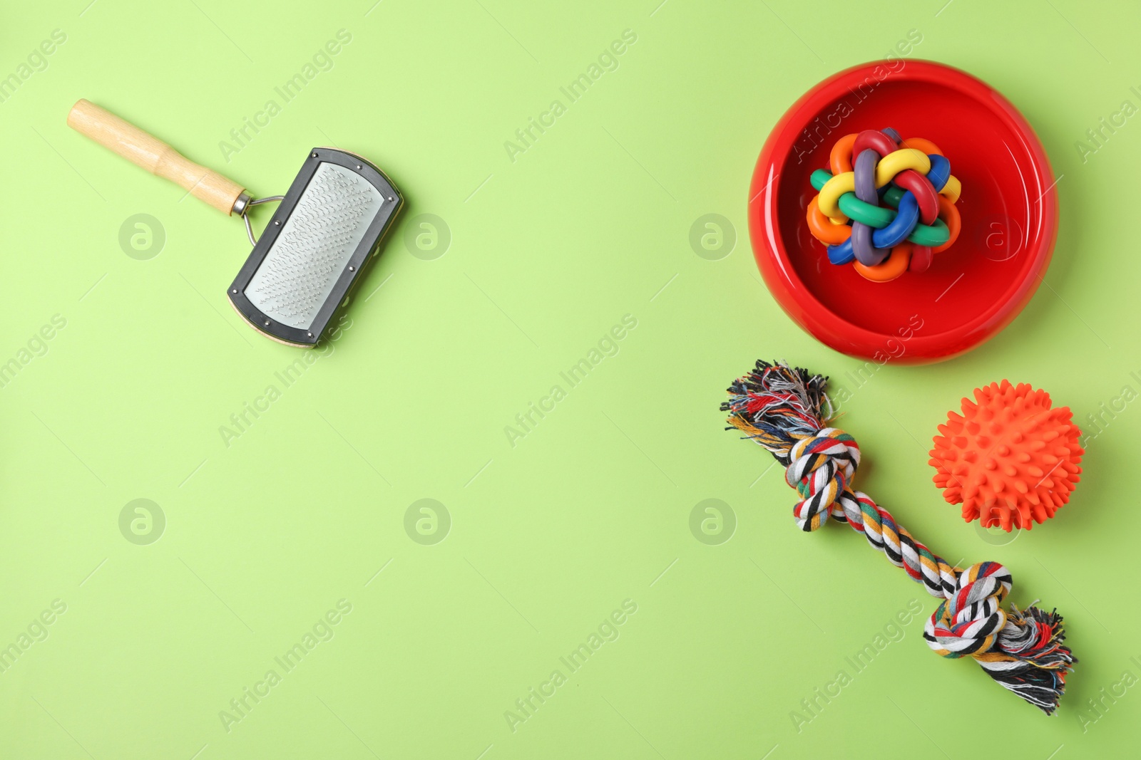 Photo of Flat lay composition with accessories for dog on color background. Pet care
