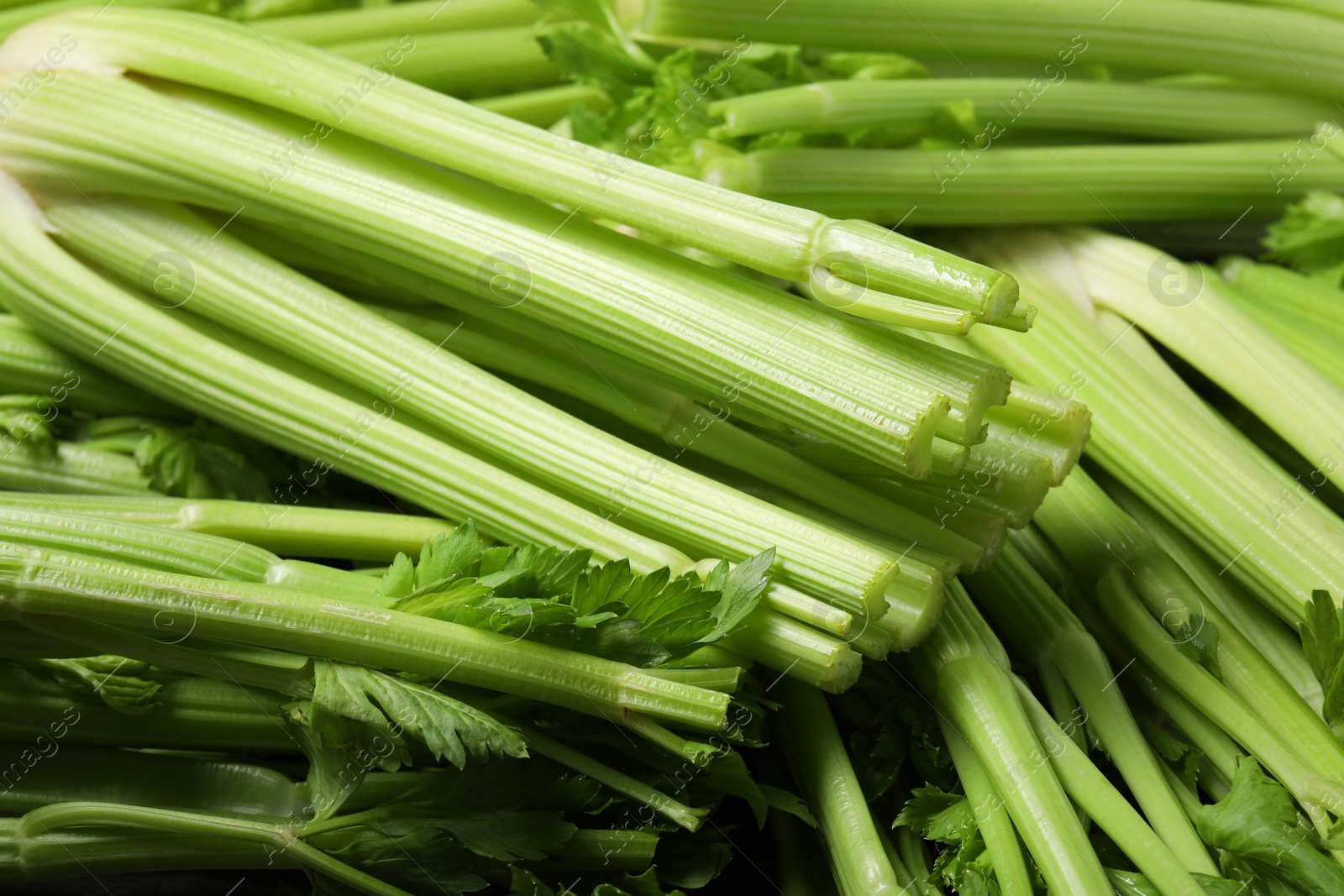 Photo of Many fresh green celery bunches as background, closeup