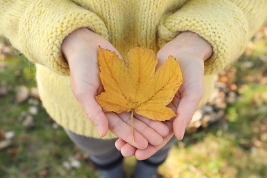 Woman holding beautiful leaf outdoors on autumn day, closeup