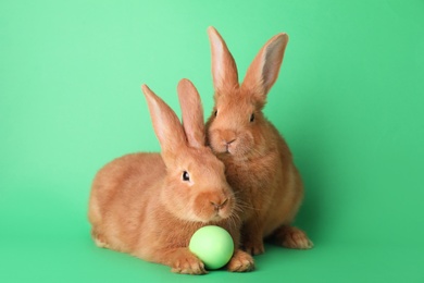 Photo of Cute bunnies and Easter egg on green background