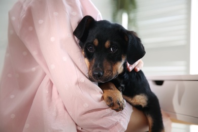 Photo of Woman with cute puppy indoors, closeup. Lovely pet