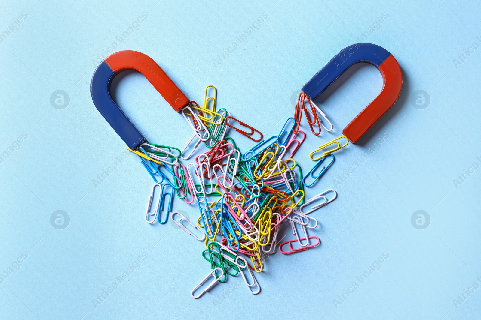 Photo of Red and blue horseshoe magnets attracting colorful paperclips on light blue background, flat lay