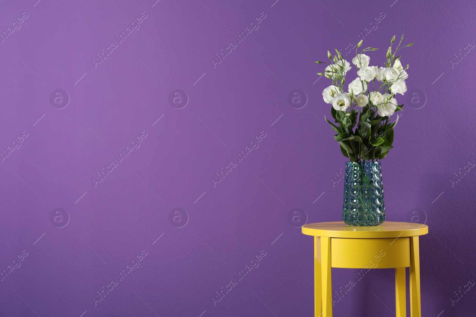 Photo of Elegant vase with eustoma flowers on table near purple wall. Space for text