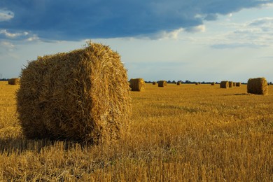 Photo of Beautiful view of agricultural field with hay bales