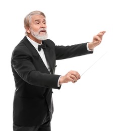 Professional conductor with baton on white background