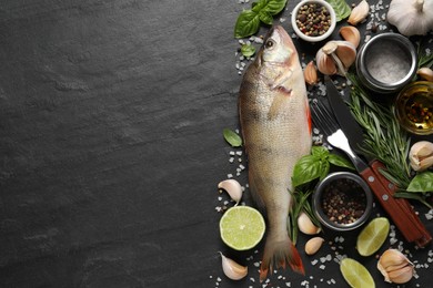 Fresh raw perch and ingredients on black slate table, flat lay with space for text. River fish