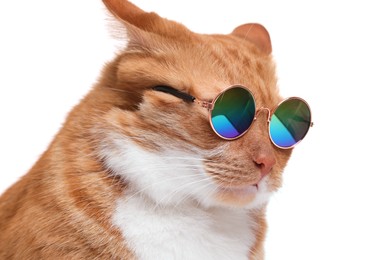 Cute ginger cat in stylish sunglasses on white background, closeup