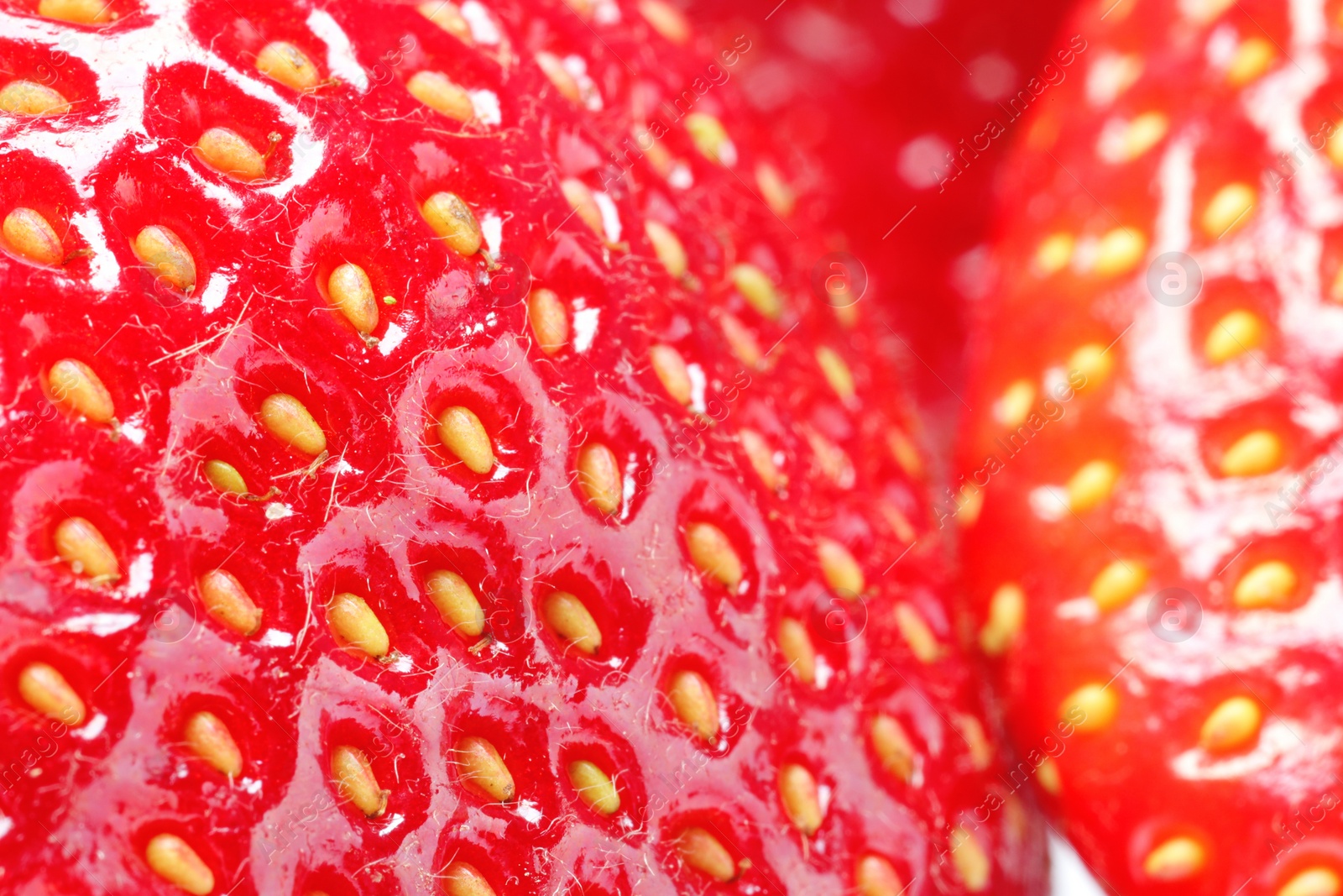 Photo of Tasty fresh ripe strawberries as background, macro view. Fresh berries