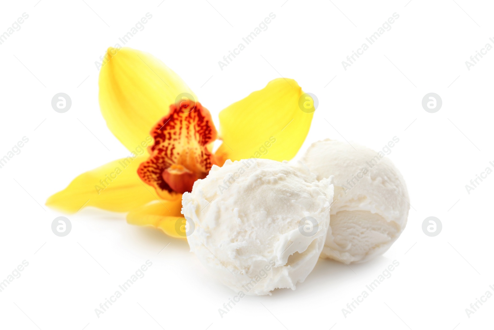 Photo of Balls of tasty vanilla ice cream and flower on white background