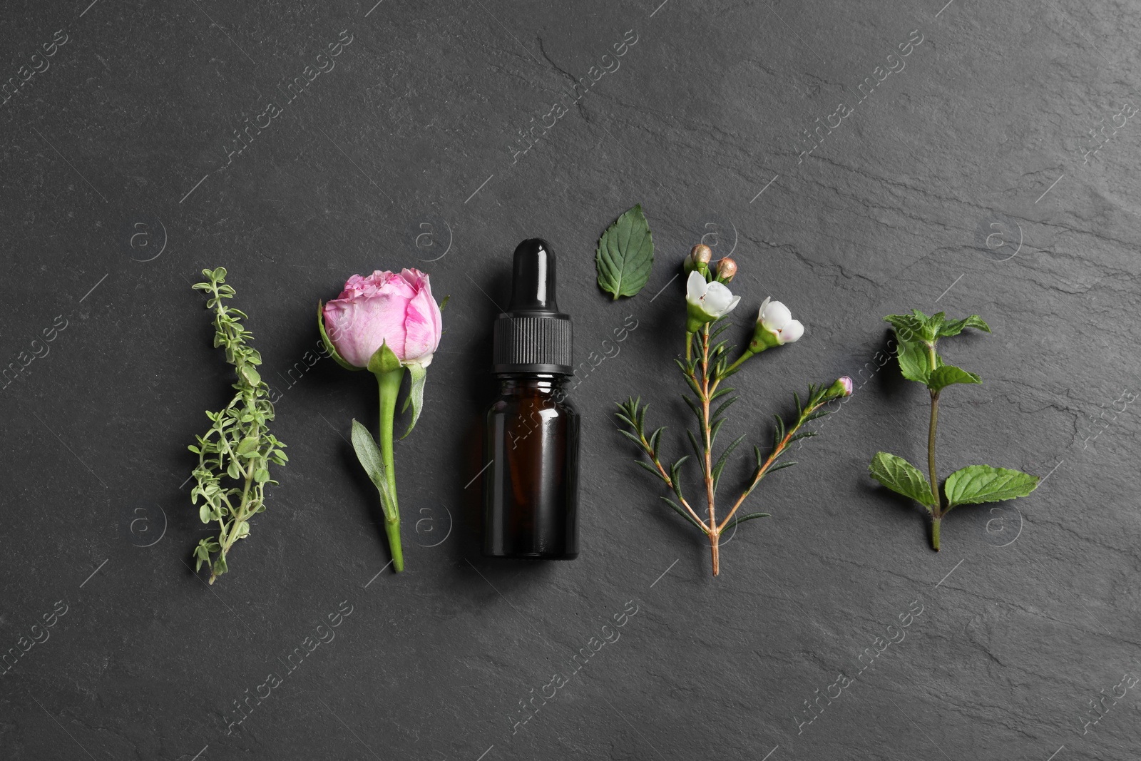 Photo of Bottle of essential oil, different herbs and flowers on black table, flat lay