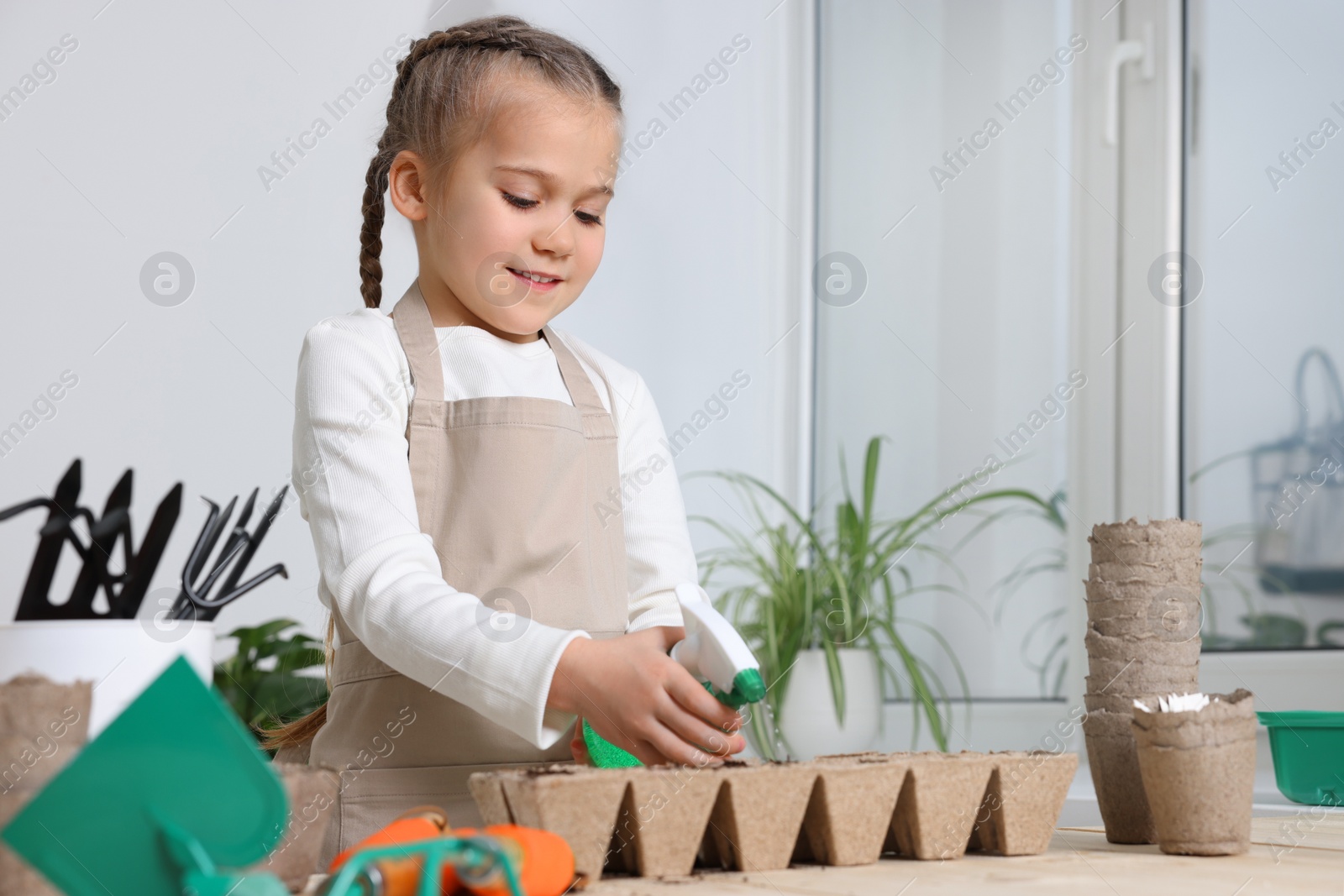 Photo of Little girl spraying water onto vegetable seeds in peat pots at wooden table in room