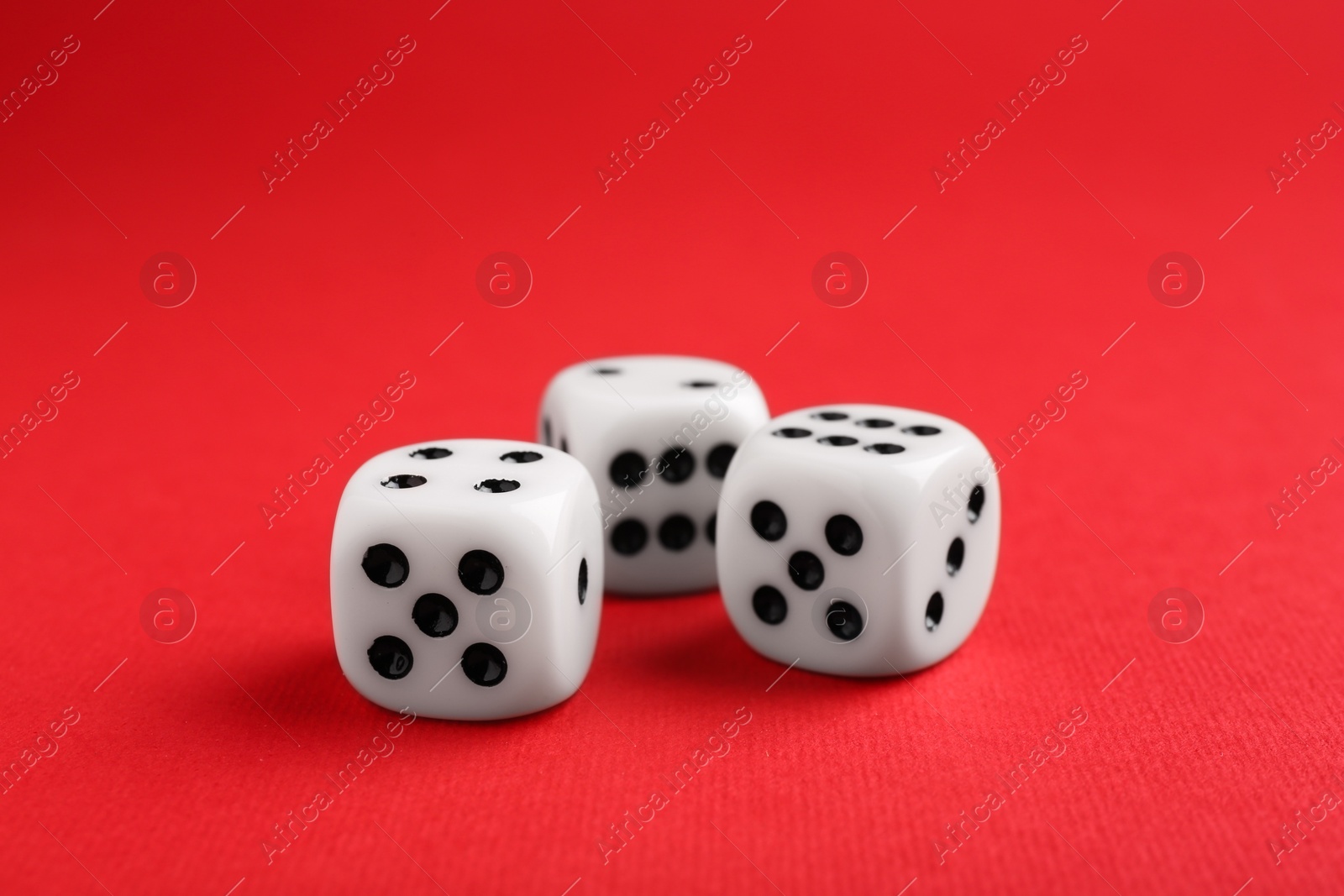 Photo of Three white game dices on red background, closeup