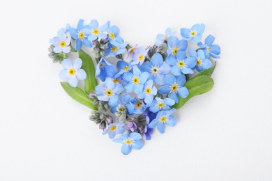 Heart made of amazing spring forget-me-not flowers on white background, top view