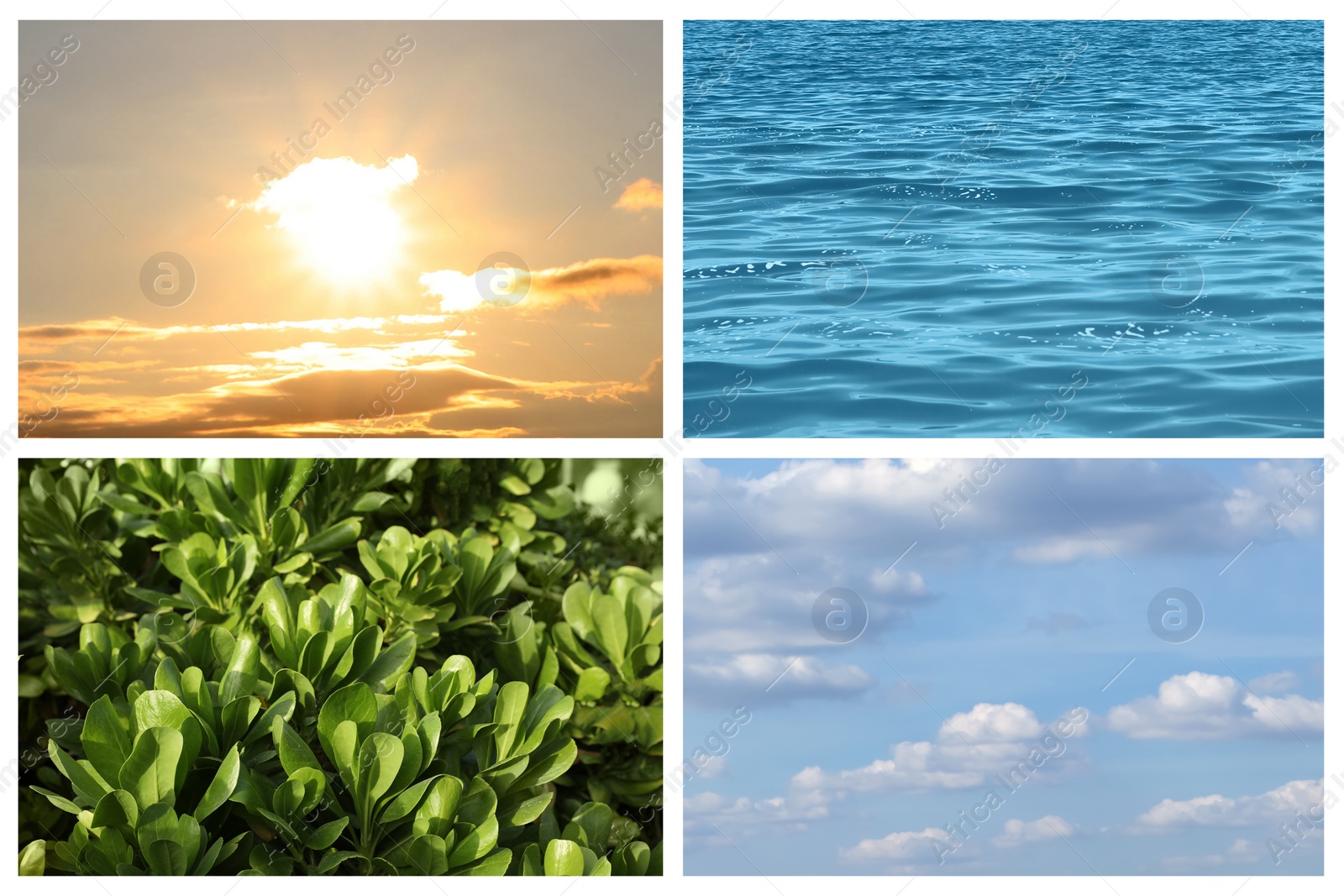 Image of Collage with photos of water, green plants, blue sky and sun. Beautiful nature 