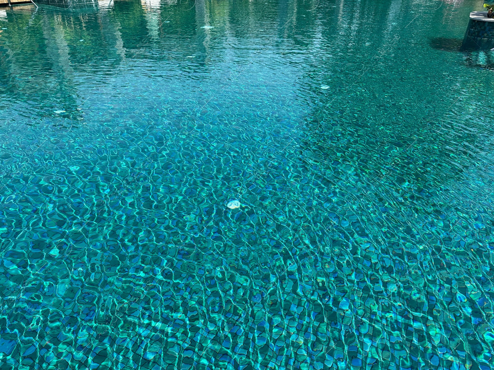 Photo of Clear water in outdoor swimming pool on sunny day