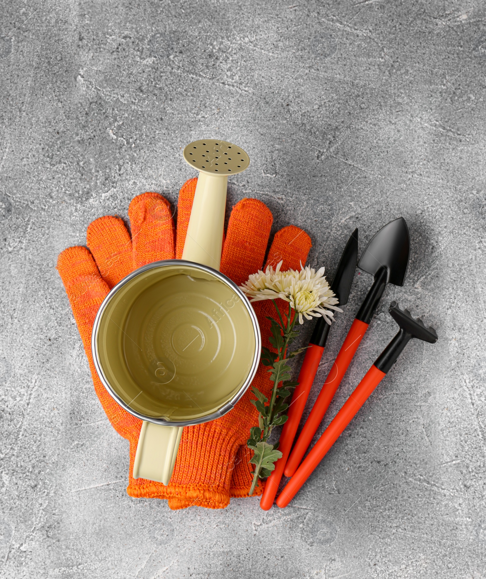 Photo of Watering can, gardening tools and gloves on light grey background, flat lay