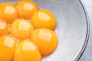 Photo of Bowl with raw egg yolks on table, above view