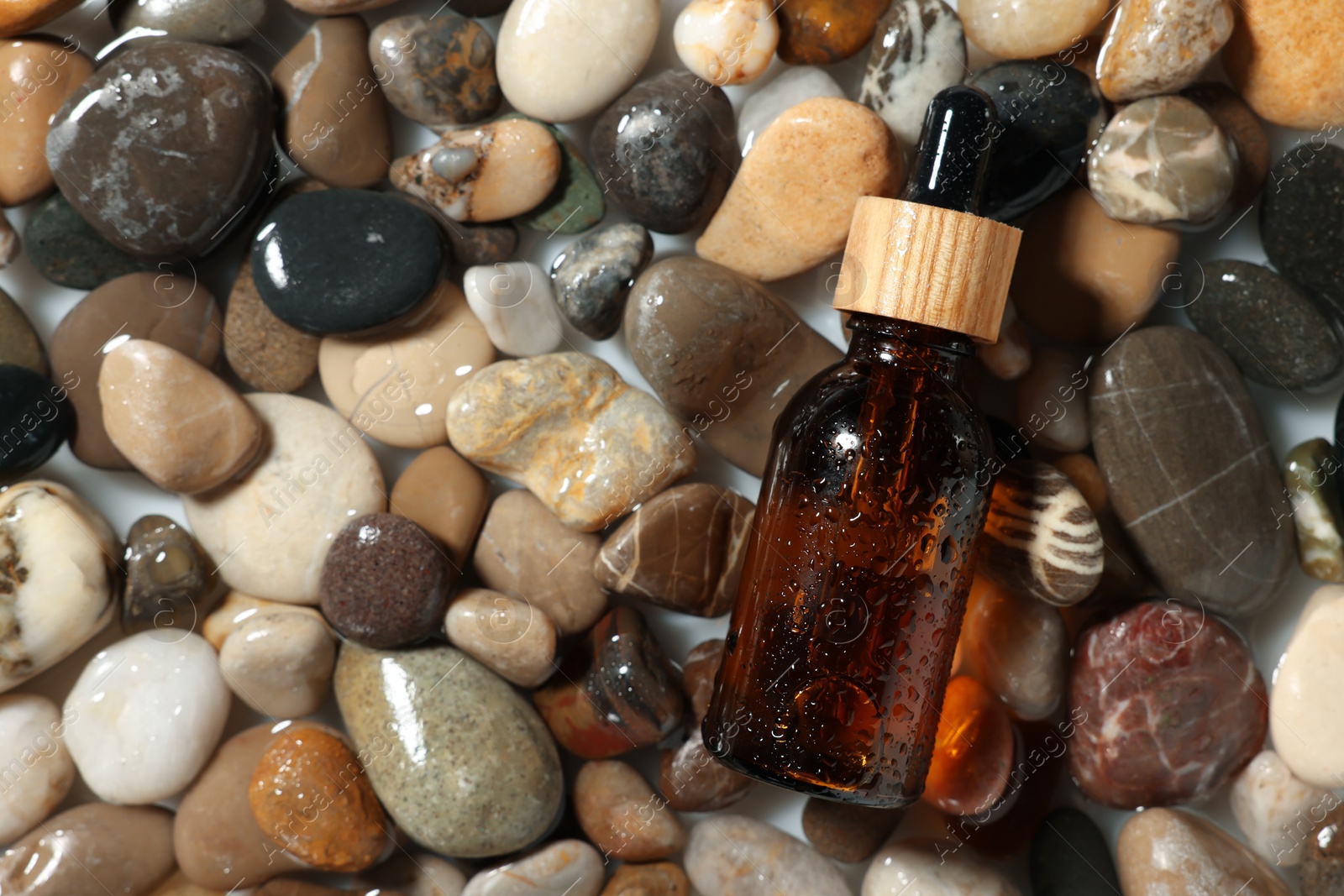 Photo of Bottle of cosmetic product on wet stones, top view. Space for text