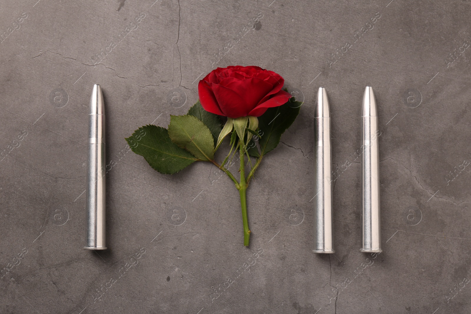 Photo of Bullets and beautiful rose on grey textured table, flat lay
