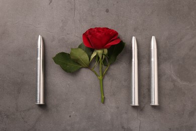 Bullets and beautiful rose on grey textured table, flat lay