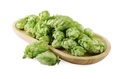 Many fresh green hops on white background