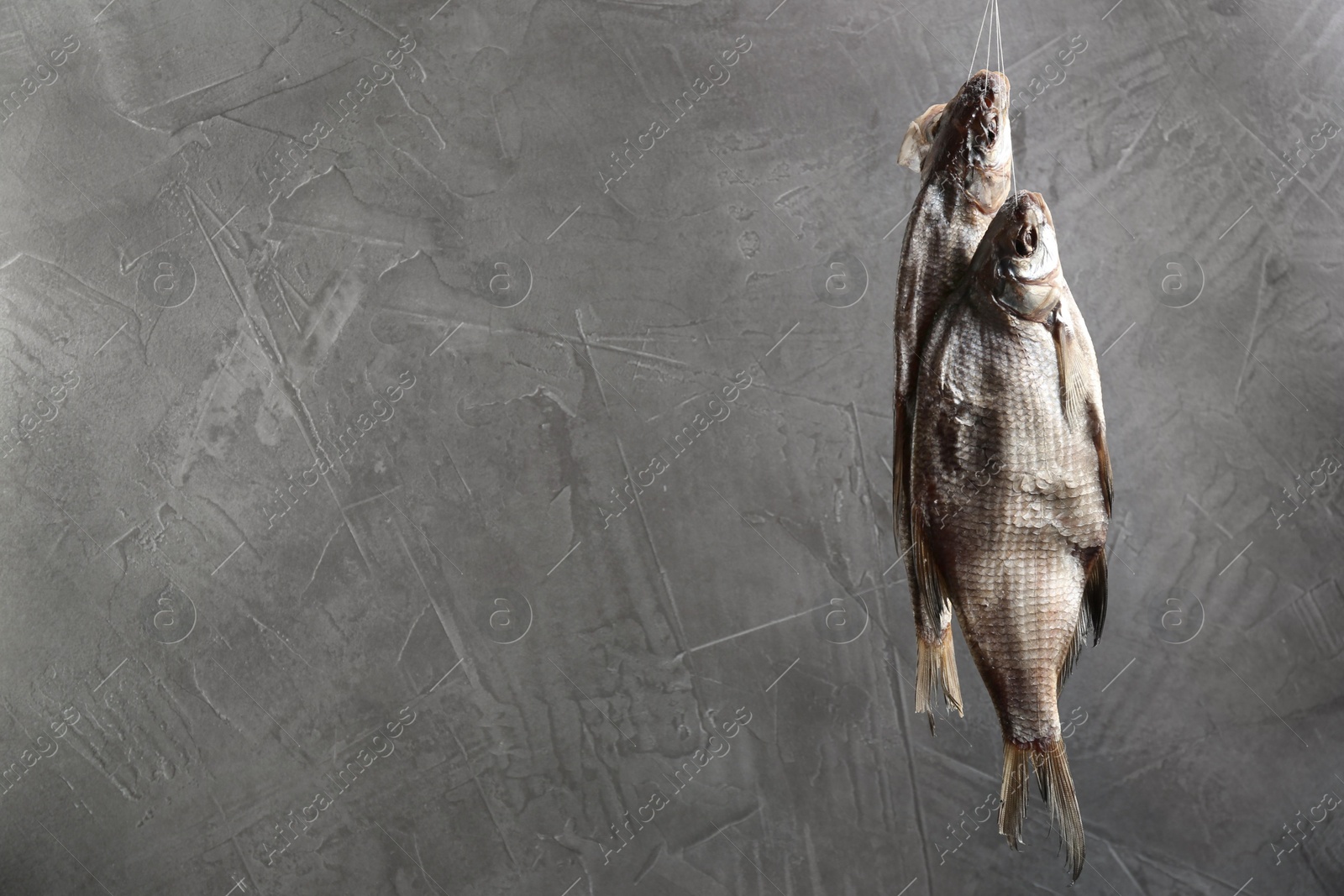 Photo of Dried fish hanging on rope against grey background, space for text