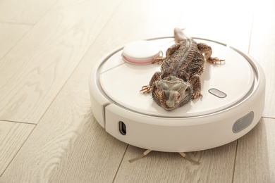 Robotic vacuum cleaner and bearded dragon lizard indoors