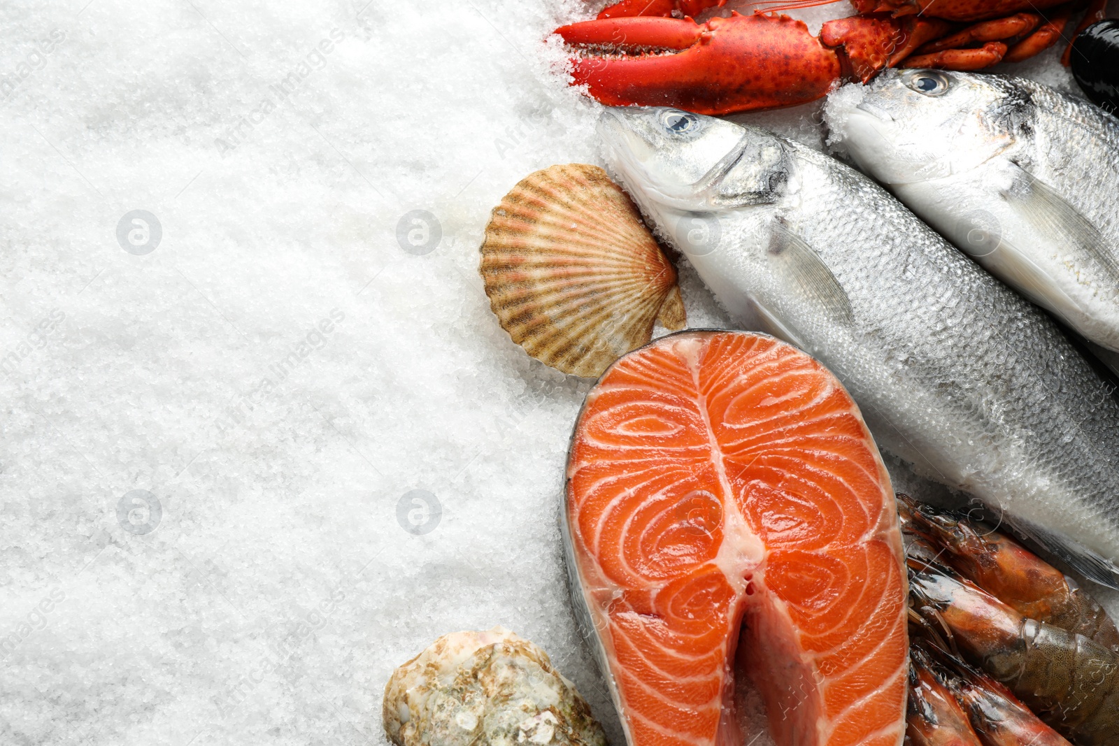 Photo of Fresh fish and seafood on ice, flat lay. Space for text